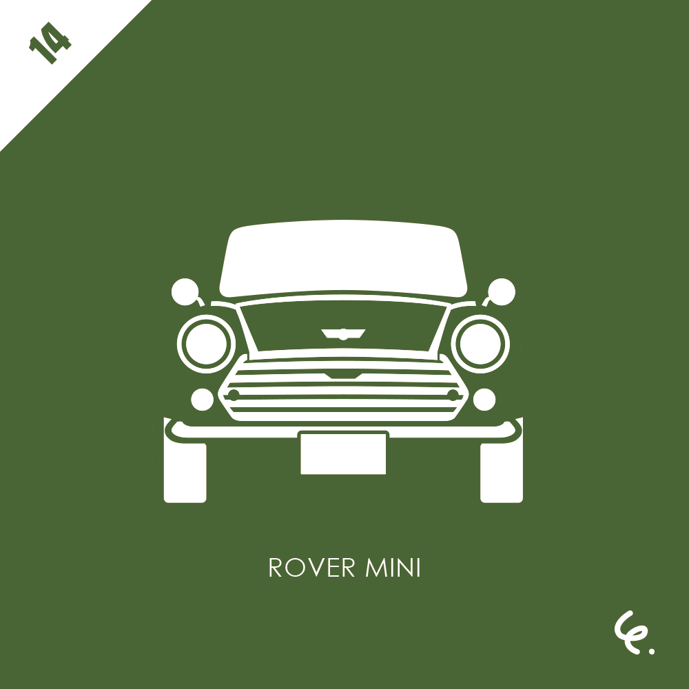 ROVER-MINI