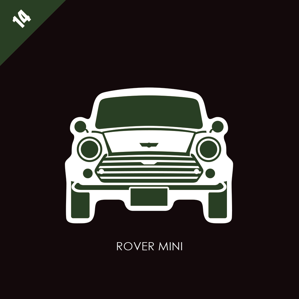 ROVER-MINI